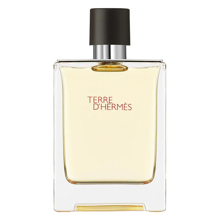 Hermes - Terre d'hermes EDT 100ml Hermes