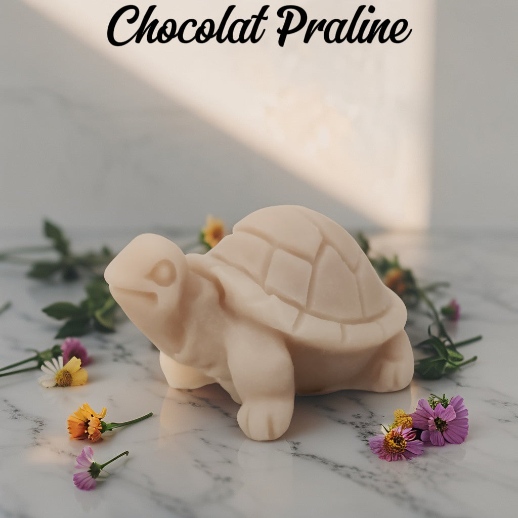 Fondant tortue Fondant tortue