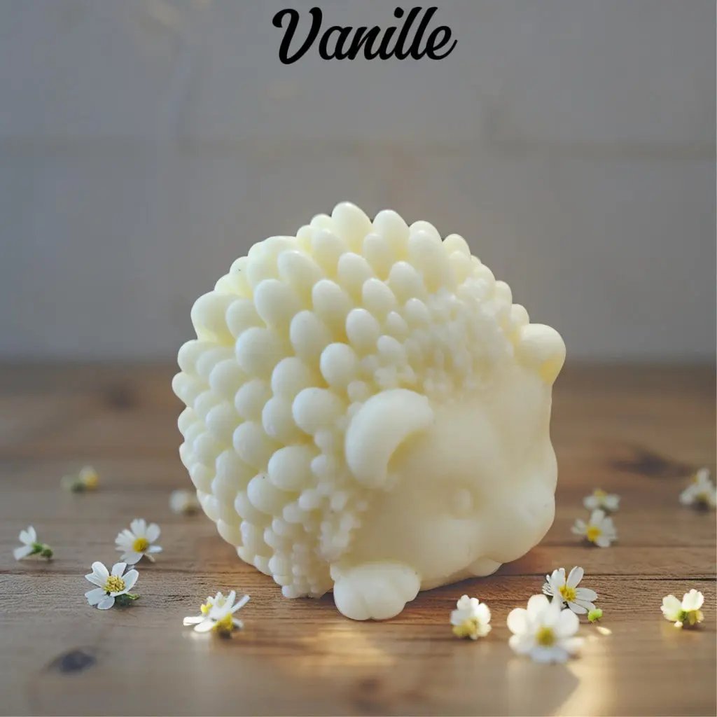 🦔 Fondant XXL "Le Hérisson Gourmand" - Canouto