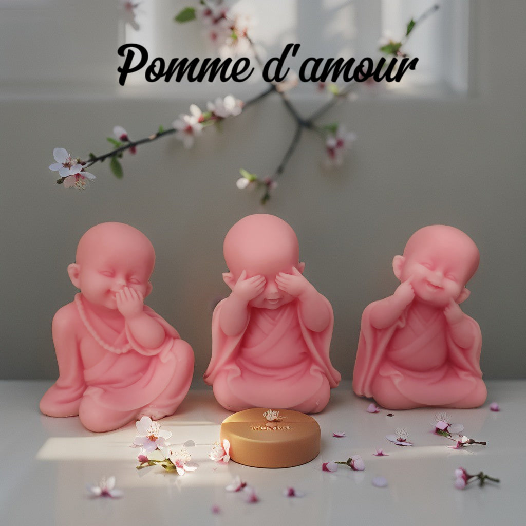 Nos Fondants - Canouto