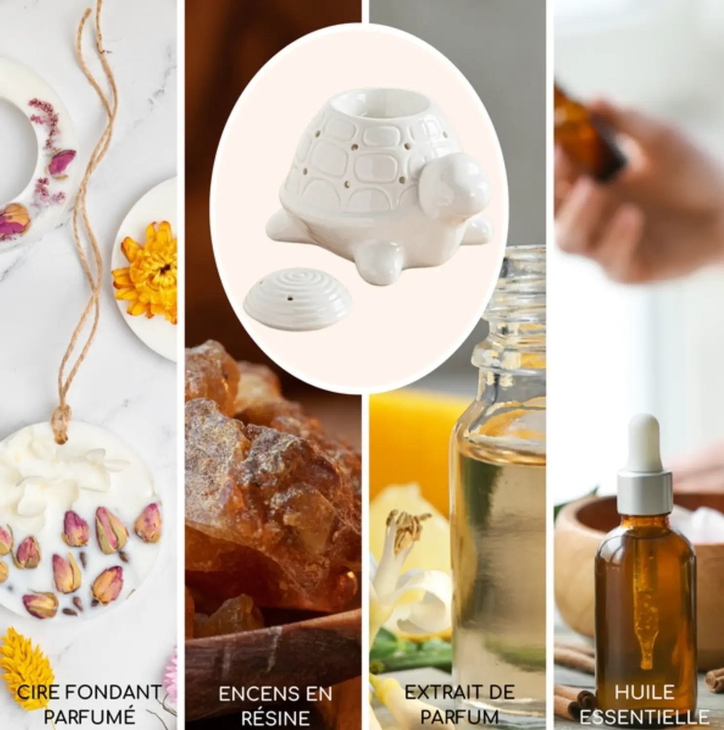 Brûle-Parfum Franklin - Canouto