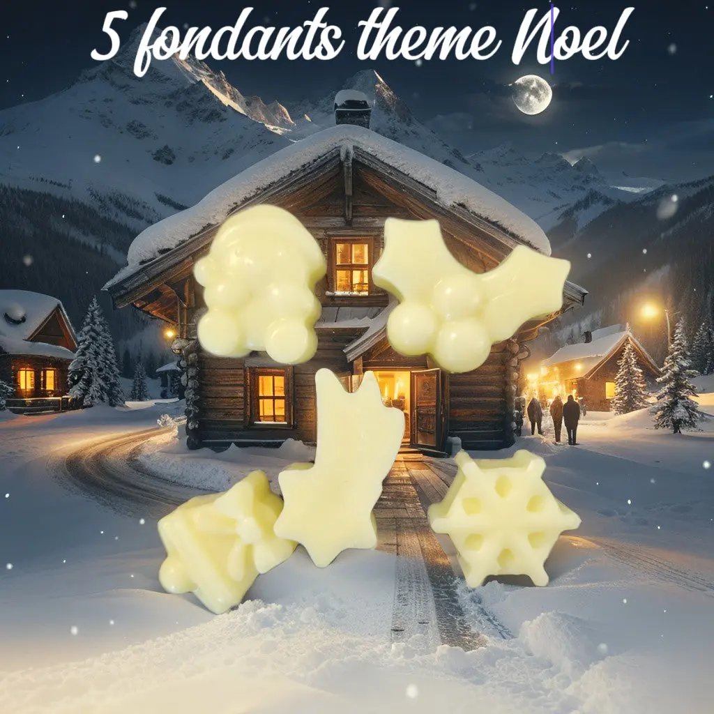 5 Douceurs de Noël - Canouto