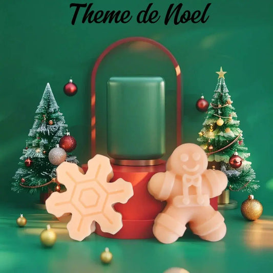 2 Fondants de Noël - Canouto