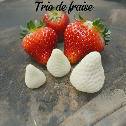 Trio de fraises Fondant trio fraise