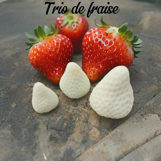 Trio de fraises Fondant trio fraise