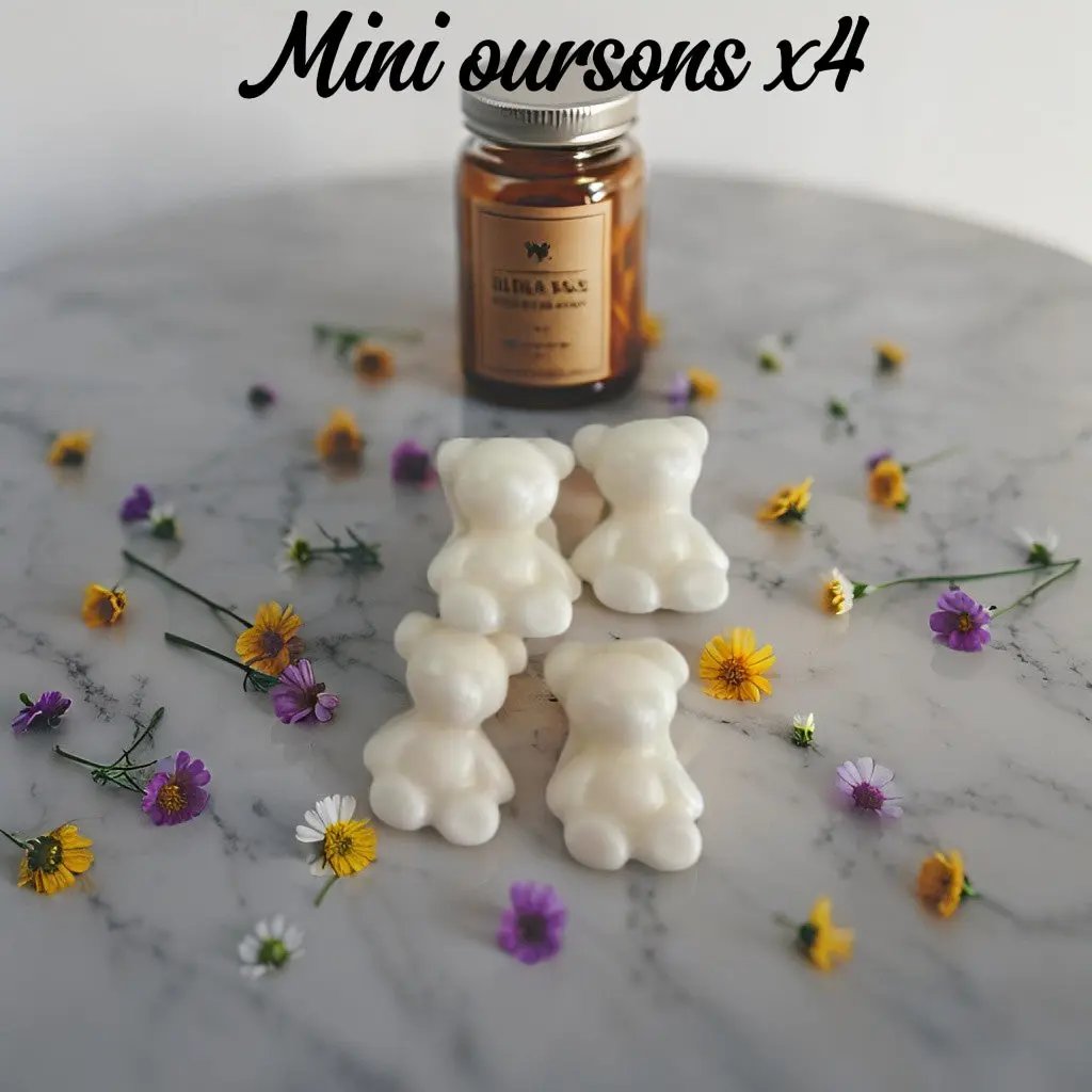 🐻 Lot de 4 Mini Fondants "Petit Ours" - Canouto
