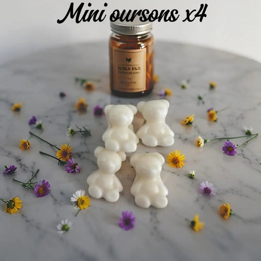 🐻 Lot de 4 Mini Fondants "Petit Ours" - Canouto