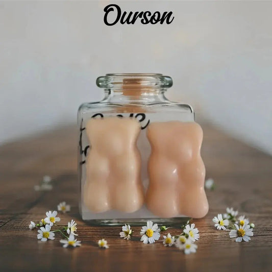 2 Fondants "Ourson Guimauve" - Canouto