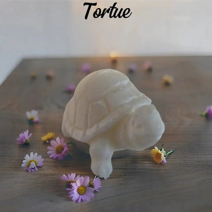 Fondant tortue - Canouto