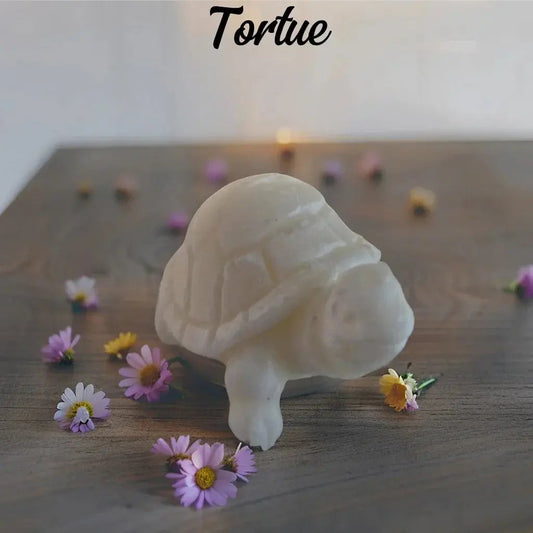 Fondant tortue - Canouto