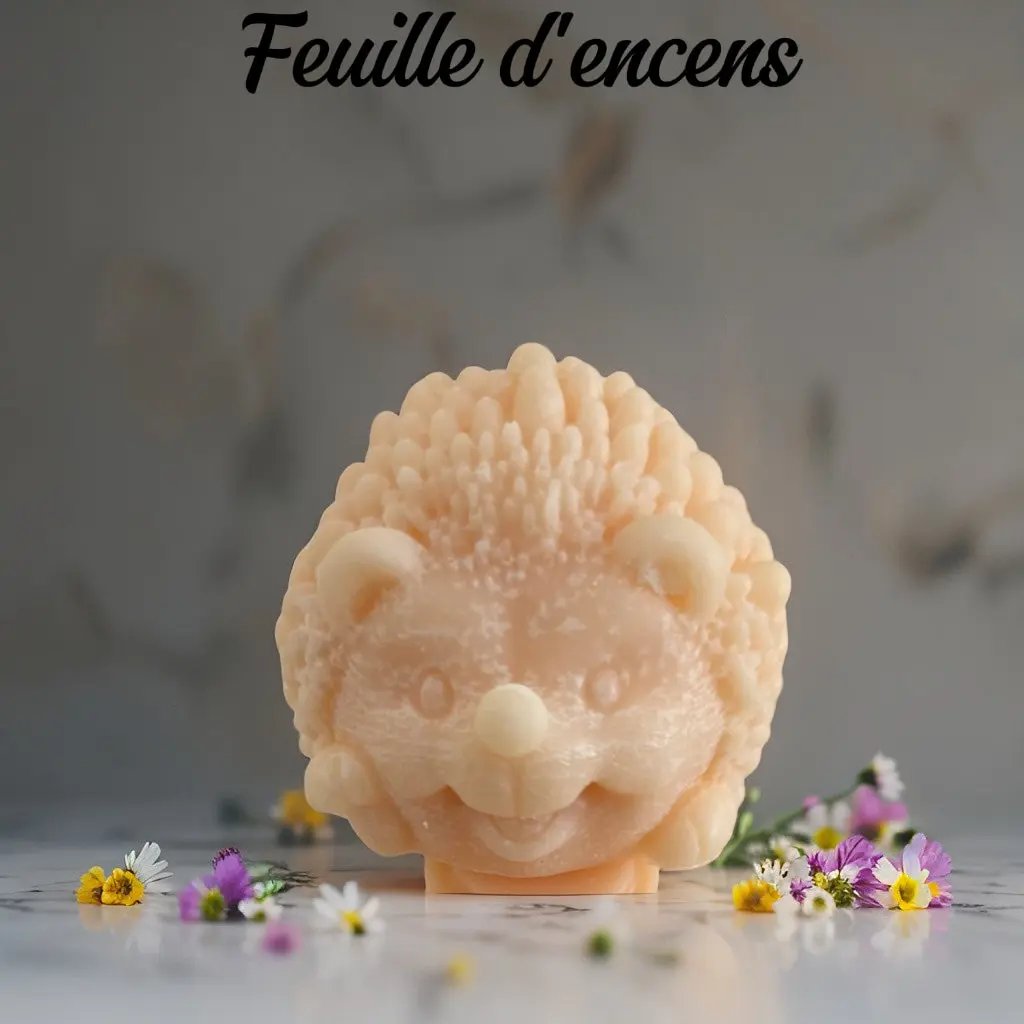 🦔 Fondant XXL "Le Hérisson Gourmand" - Canouto