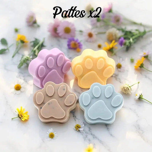 2 Fondants "Patte de Chat" - Canouto