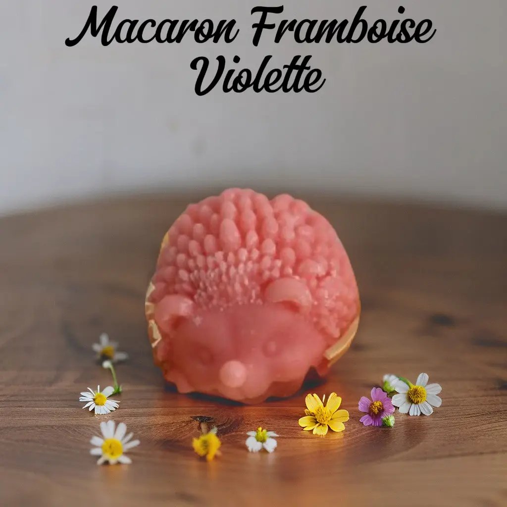 🦔 Fondant XXL "Le Hérisson Gourmand" - Canouto