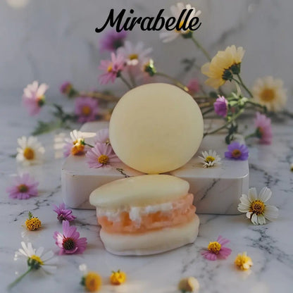 2 Macarons - Canouto