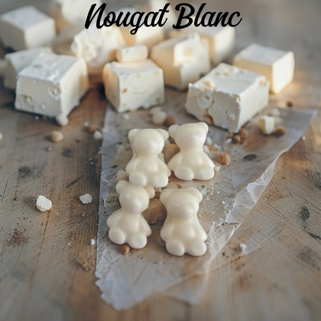 🐻 Lot de 4 Mini Fondants "Petit Ours" - Canouto