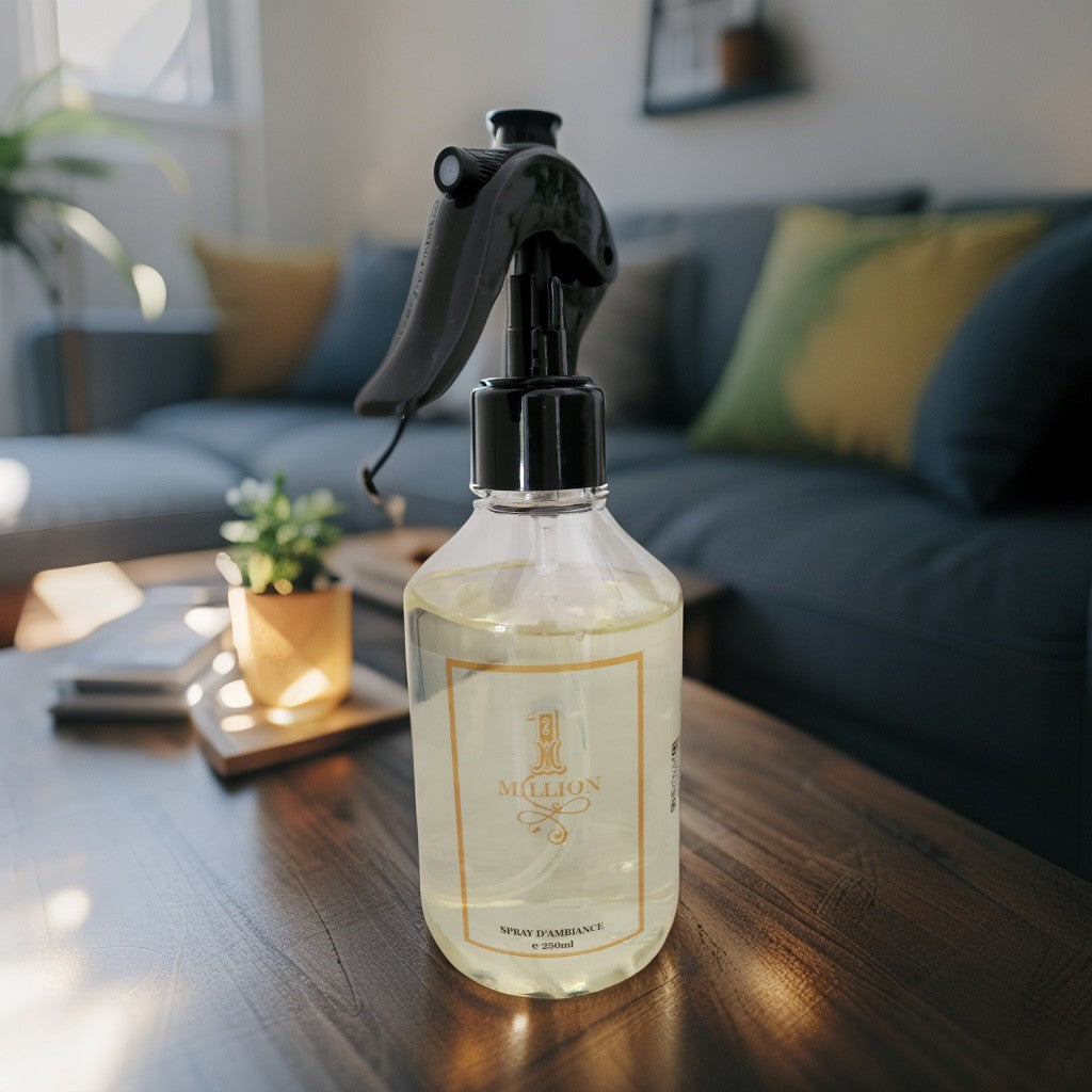 Spray ambiant One Million Spray d'ambiance