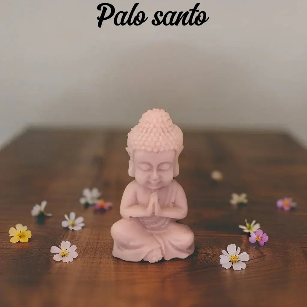 Fondant Bouddha - Canouto