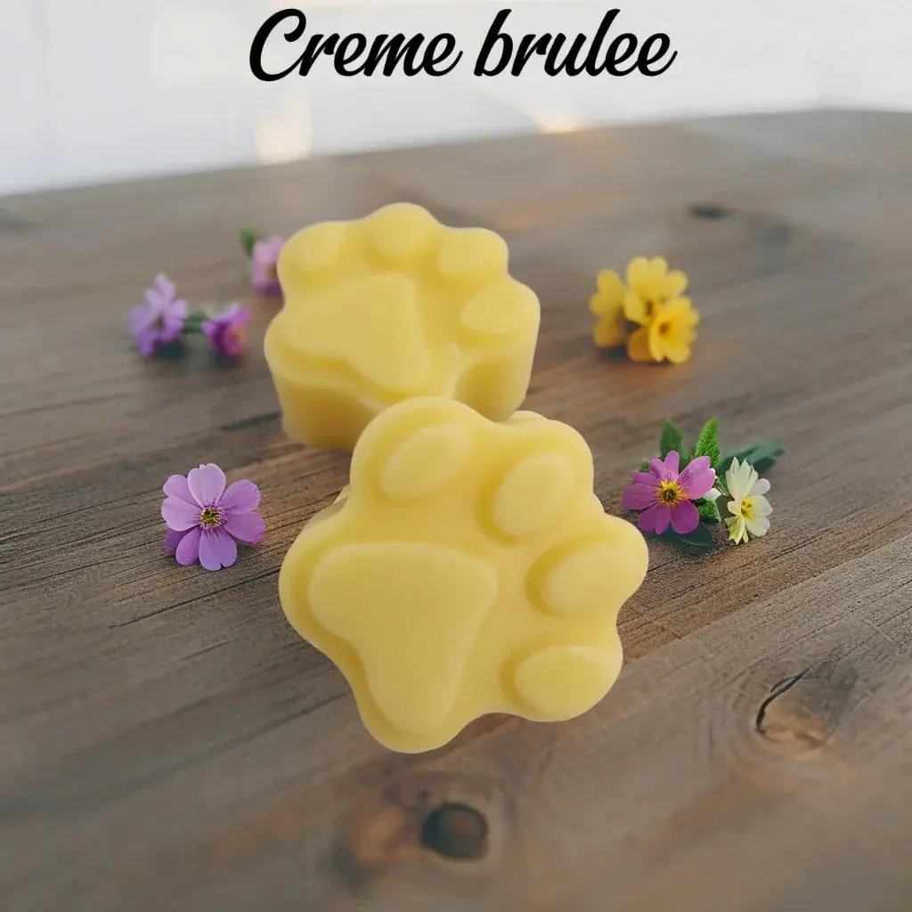 2 Fondants "Patte de Chat" - Canouto