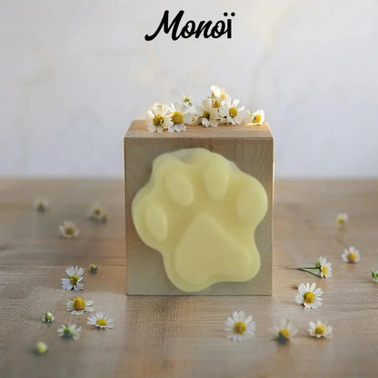 2 Fondants "Patte de Chat" - Canouto