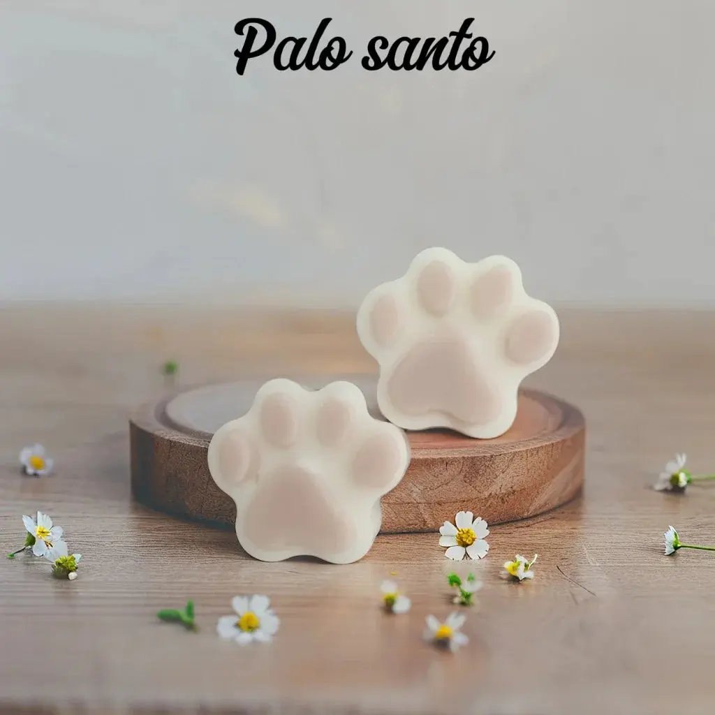 2 Fondants "Patte de Chat" - Canouto