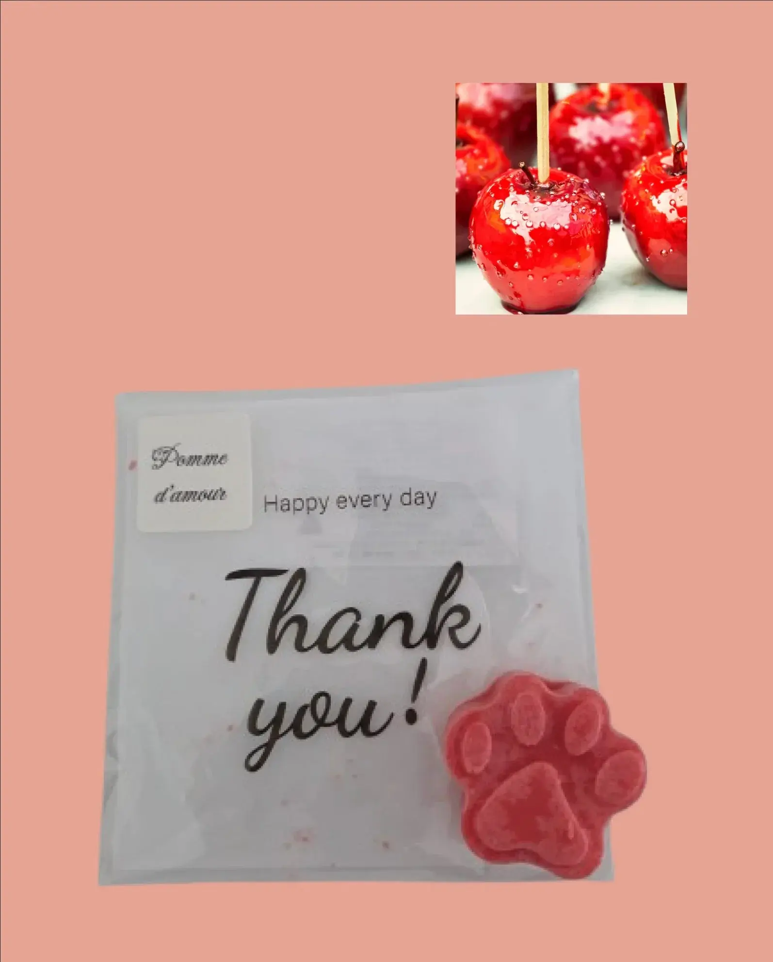 2 Fondants "Patte de Chat" - Canouto