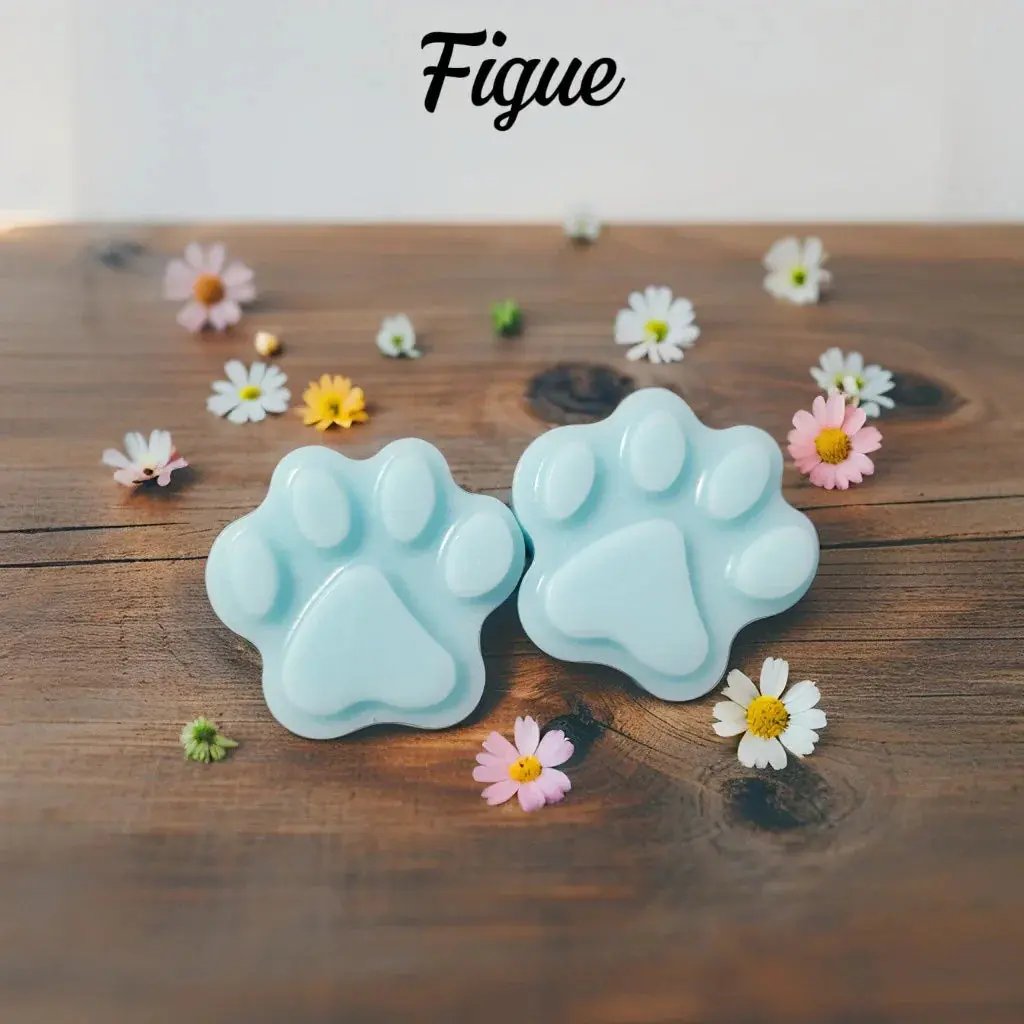 2 Fondants "Patte de Chat" - Canouto