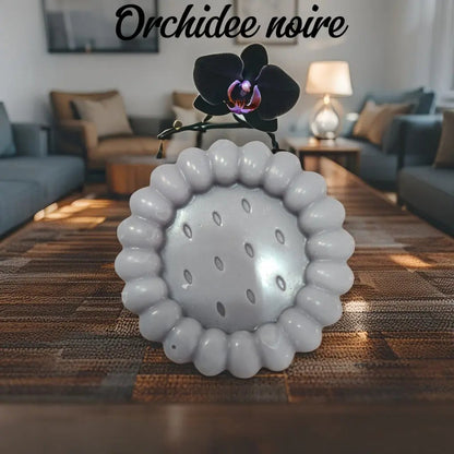 Mini-Tartelette Fondante Fondant tartelette