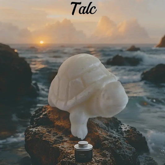 Fondant tortue - Canouto