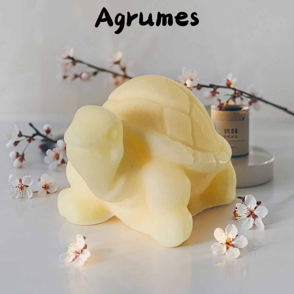 Fondant tortue Fondant tortue