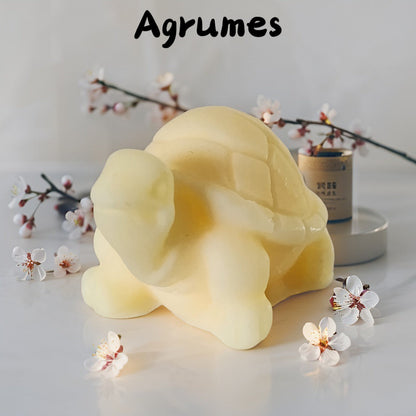 Fondant tortue Fondant tortue