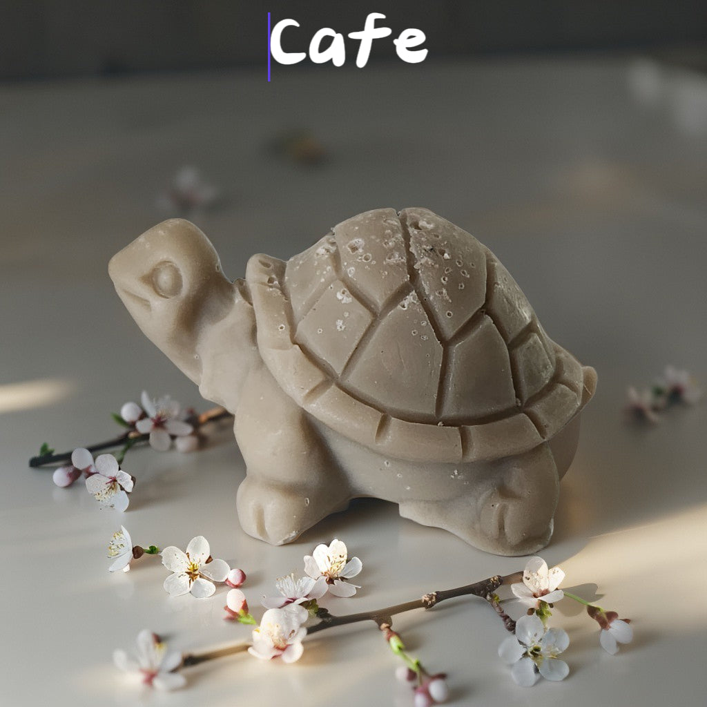 Fondant tortue Fondant tortue