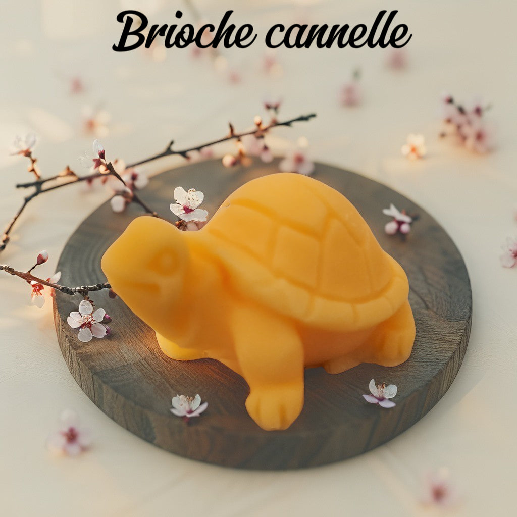 Fondant tortue Fondant tortue