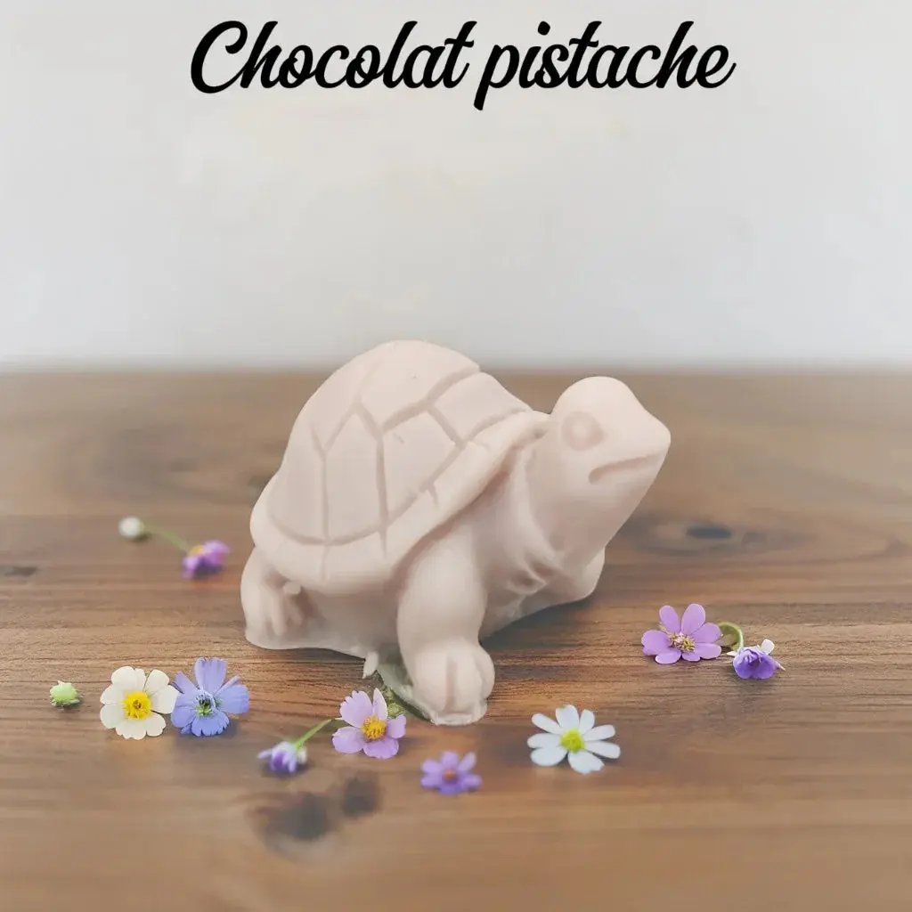 Fondant tortue - Canouto