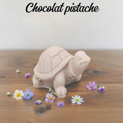 Fondant tortue - Canouto