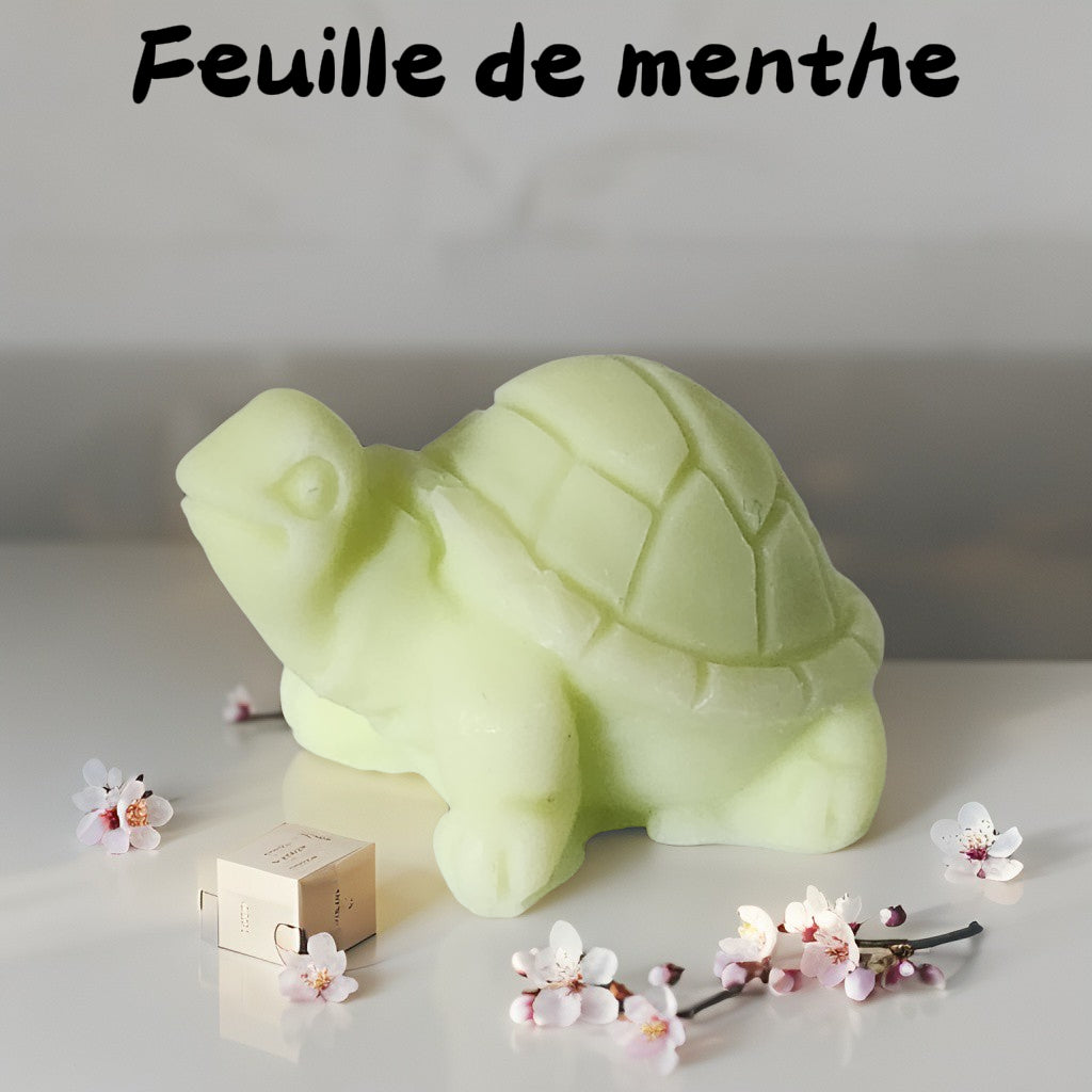 Fondant tortue Fondant tortue