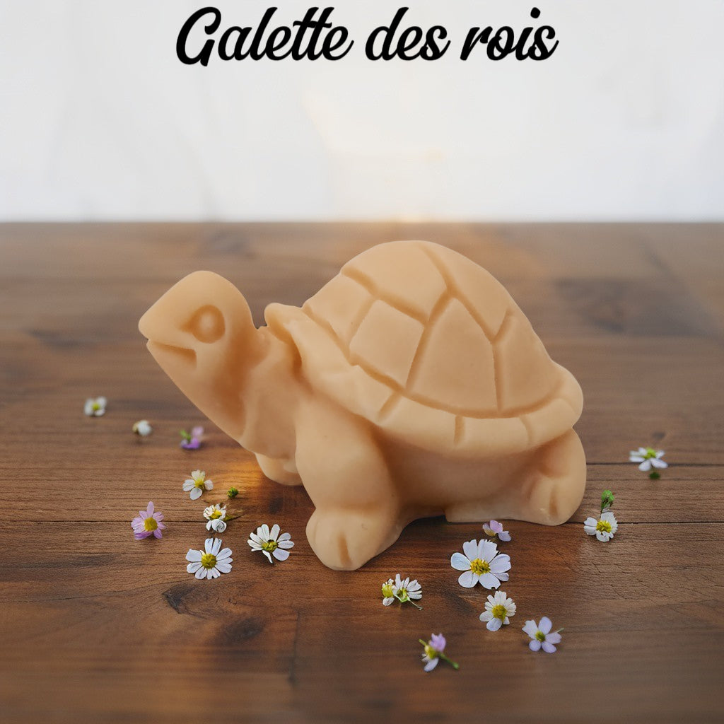 Fondant tortue Fondant tortue