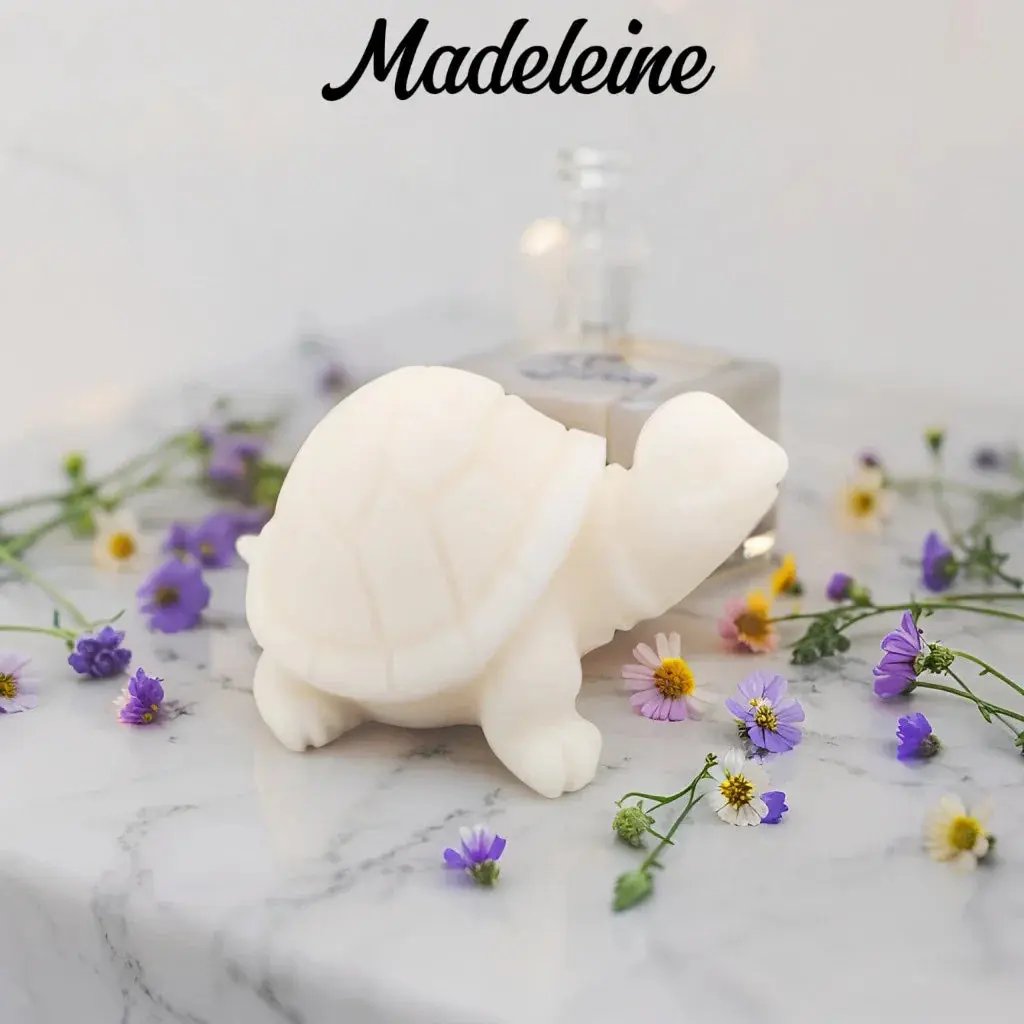 Fondant tortue - Canouto