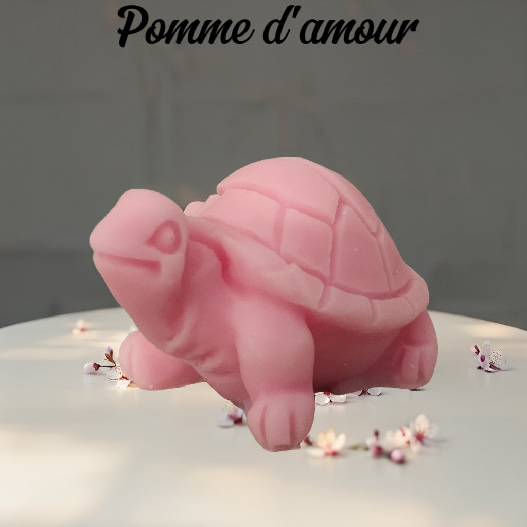 Fondant tortue Fondant tortue